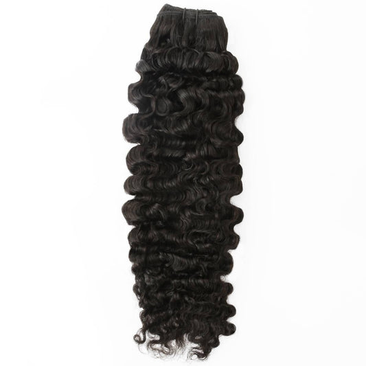 Raw Burmese Curly Human Hair Bundles - single bundle full length, weft top