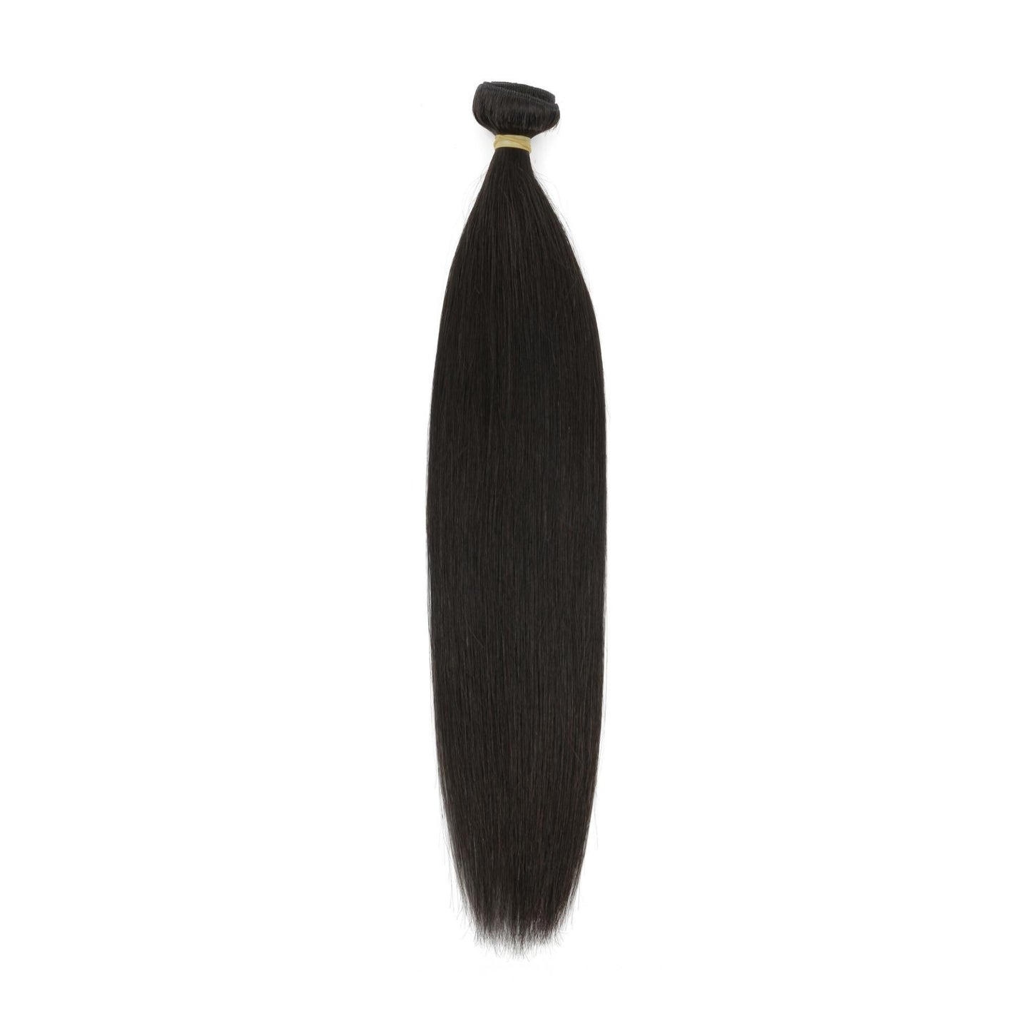 Raw Straight Human Hair Bundles - single bundle, full length on white