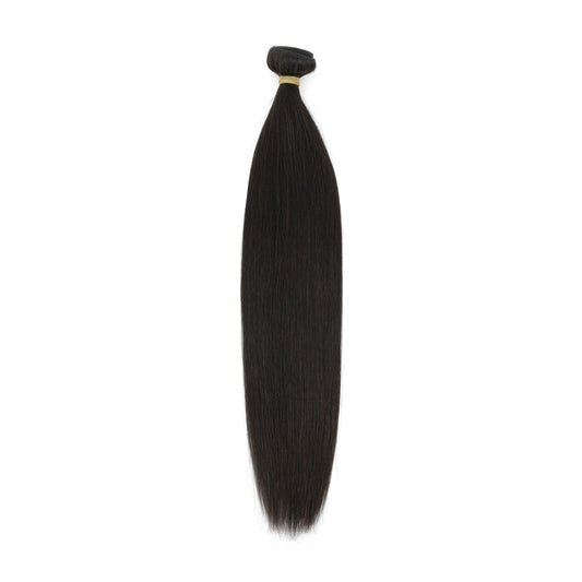 Raw Straight Human Hair Bundles - single bundle, full length on white